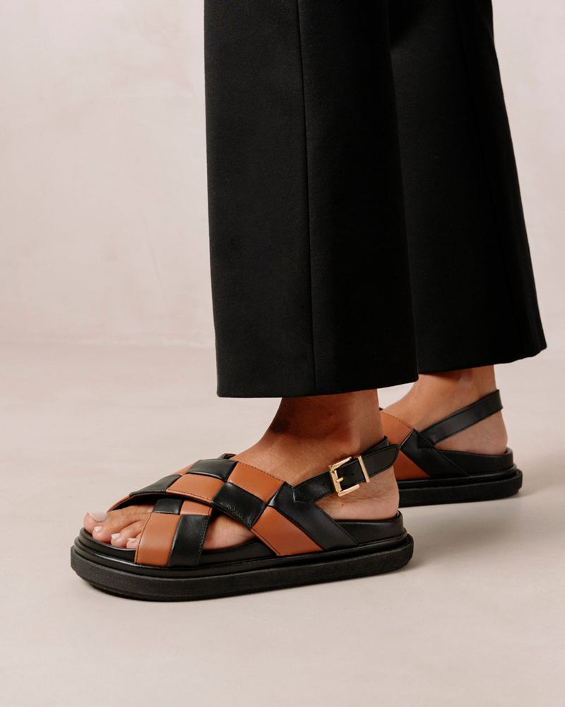 Black/Brown Alohas Marshmallow Scacchi Leather Women's Sandals | LOWPZ1672