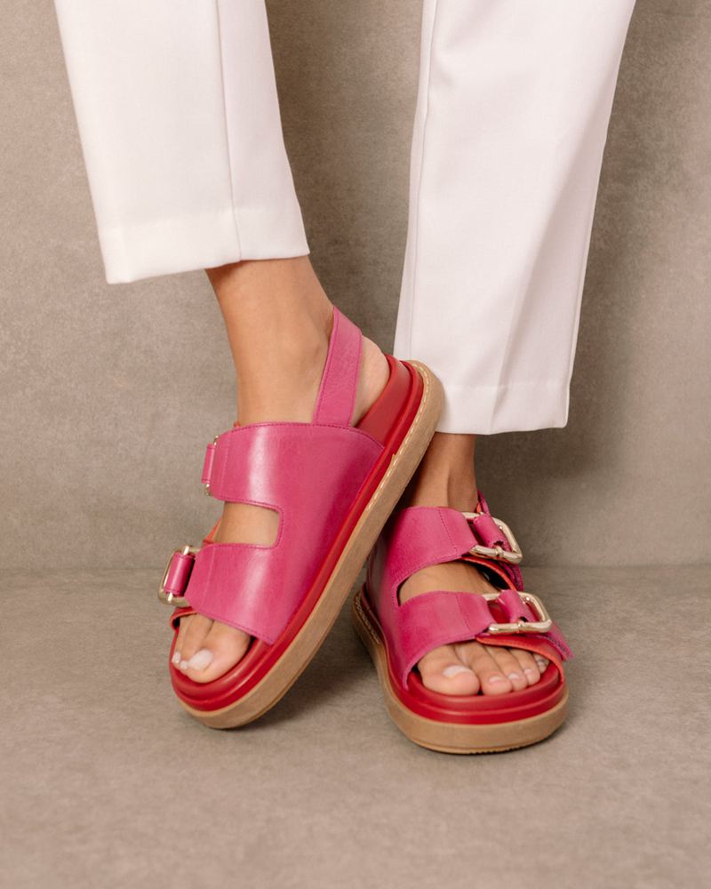 Red/Pink Alohas Harper Leather Women's Sandals | CKSOL3867