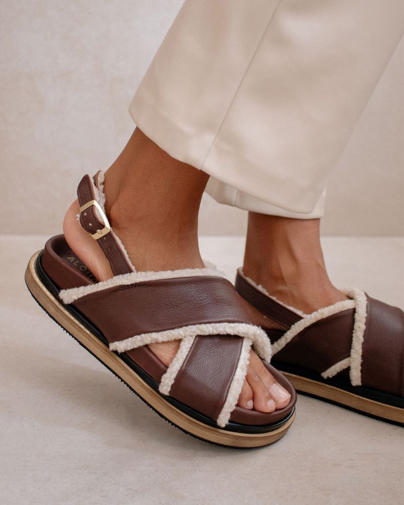 Brown Alohas Marshmallow Women's Sandals | UTMSH6578