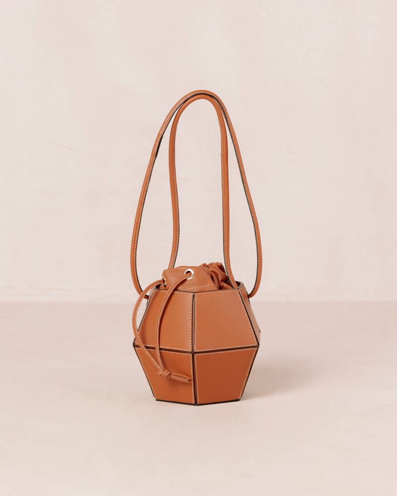 Brown Alohas The V Leather Women's Bags | JNZXA2781