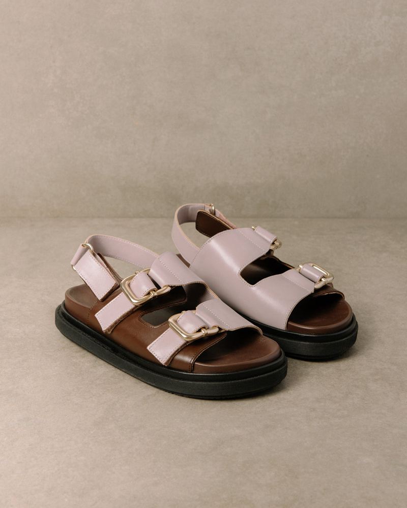 Brown/Purple Alohas Harper Leather Women's Sandals | ZQAHB5028