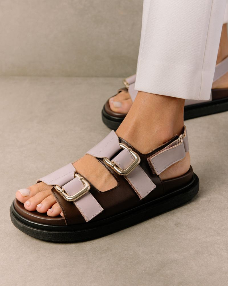 Brown/Purple Alohas Harper Leather Women's Sandals | ZQAHB5028