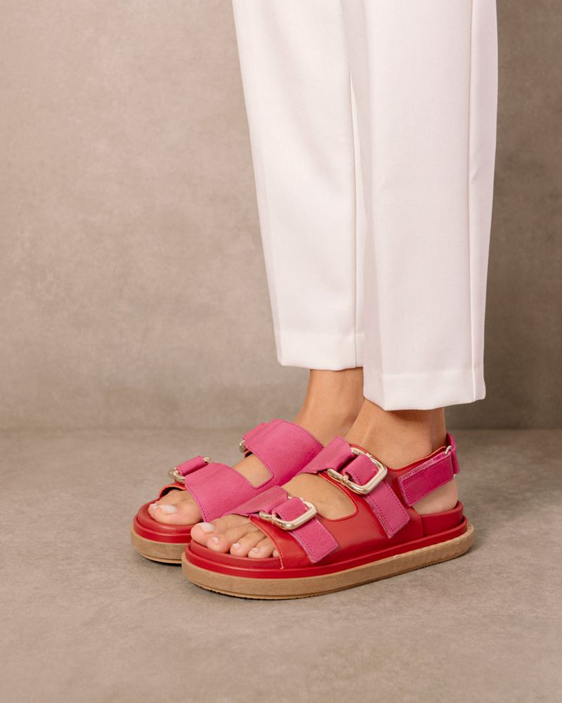 Red/Pink Alohas Harper Leather Women's Sandals | CKSOL3867