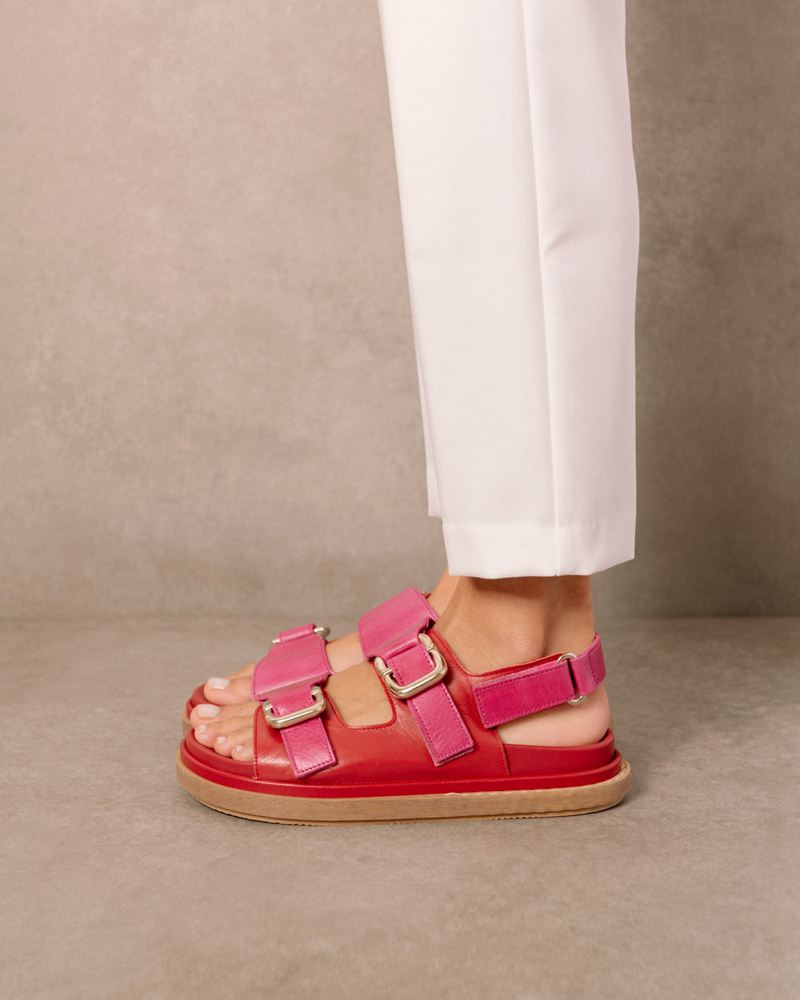 Red/Pink Alohas Harper Leather Women's Sandals | CKSOL3867